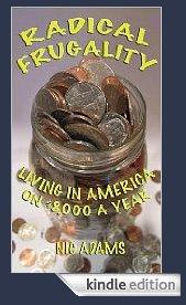 Radical Frugality: Living in America on $8,000 a Year